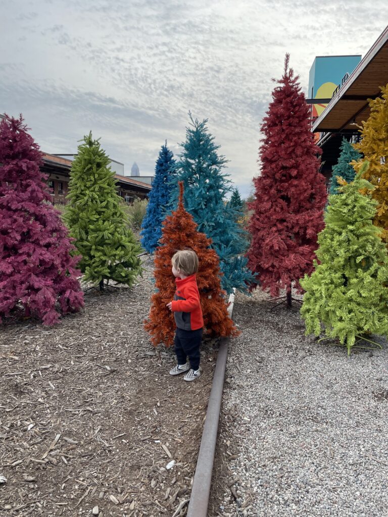 A young child in a red jacket stands among colorful Christmas trees painted pink, green, blue, orange, and yellow, outdoors on a cloudy day. The ground is covered with gravel and mulch.