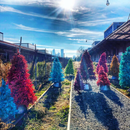 Brightly colored Christmas trees in red, pink, and blue line a gravel path under a sunny sky, with city buildings in the background—perfect for festive Christmas activities Charlotte NC has to offer.