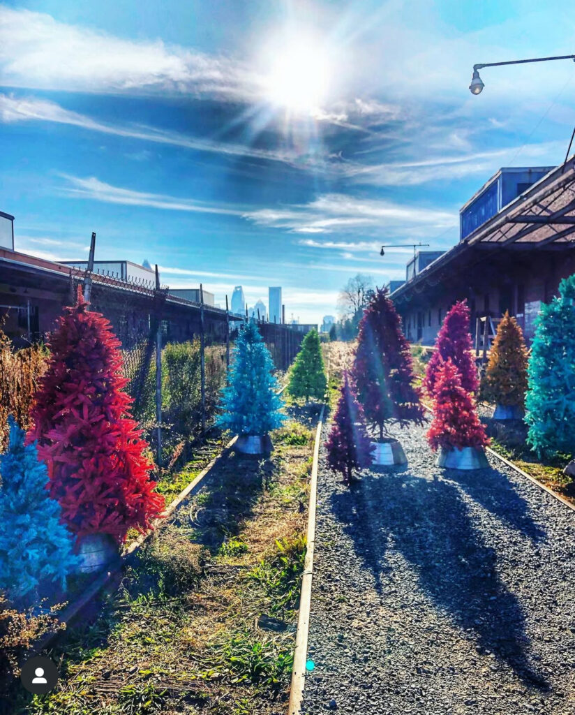 Colorful Christmas trees, including red, pink, blue, and teal, line a gravel path under a bright, sunny sky with the city skyline visible in the background.