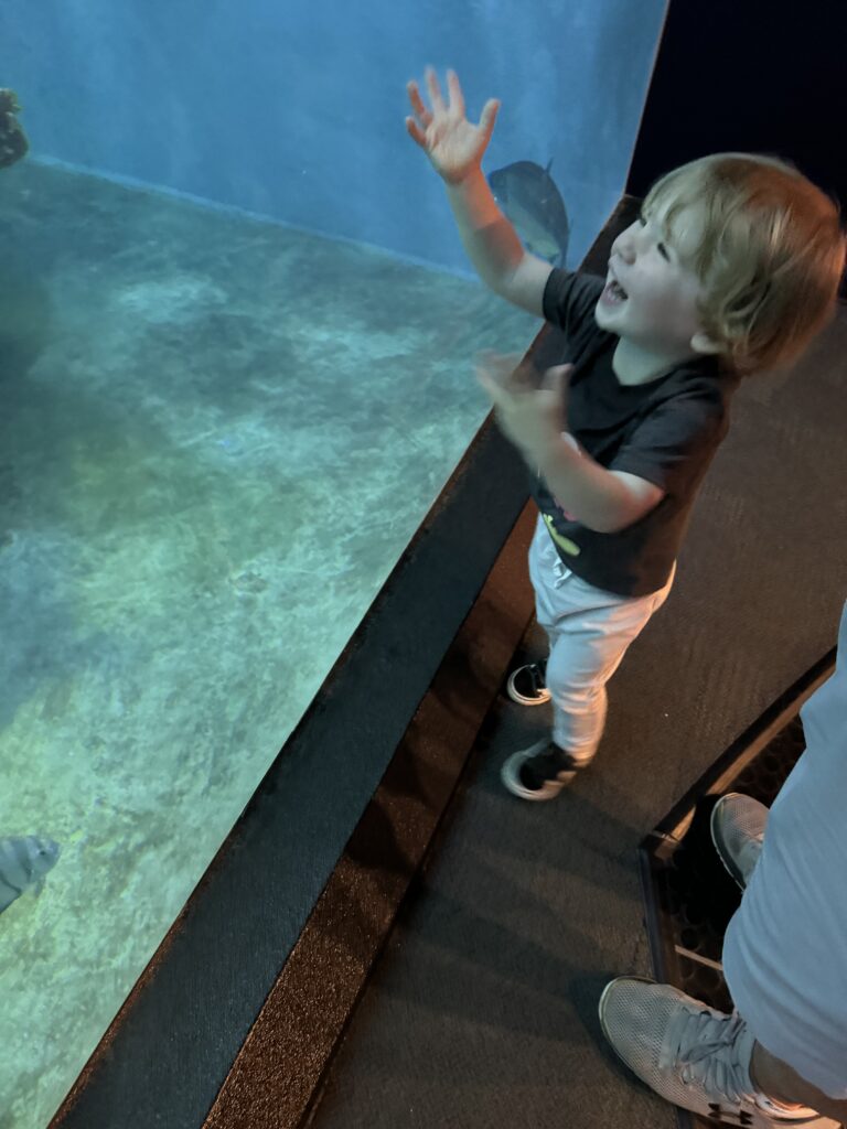 A young child with light brown hair excitedly reaches up while standing next to an aquarium tank, looking at the fish inside. An adult stands nearby, visible only from the knees down.