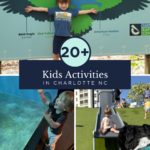 A collage showcases things to do in Charlotte with kids: a child poses by a wingspan sign, another explores an aquarium tank, and one slides down near a playful dog. Text reads “20+ Kids Activities in Charlotte NC.”.