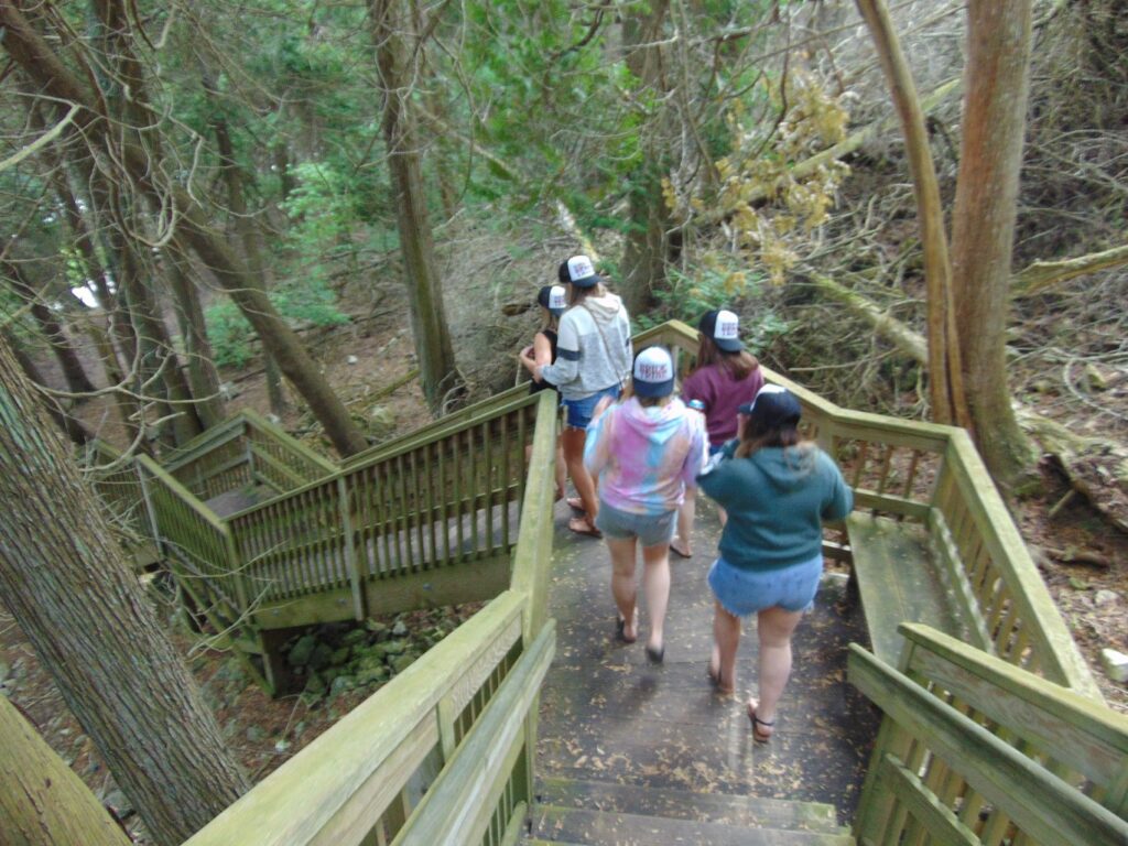 A group of people wearing caps and casual clothes walk down wooden stairs surrounded by tall trees in a forested area. The scene looks shaded and peaceful, with greenery and natural wooden railings.