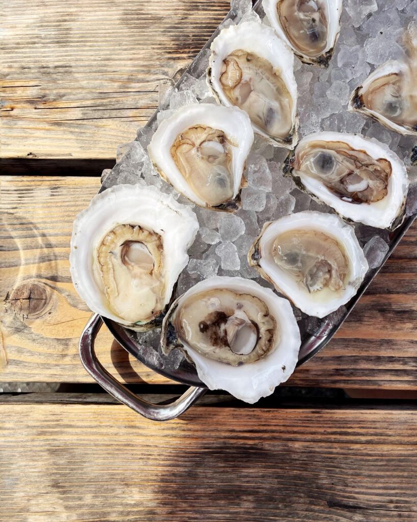 A metal tray filled with raw oysters on the half shell sits on a bed of ice atop a rustic wooden table.
