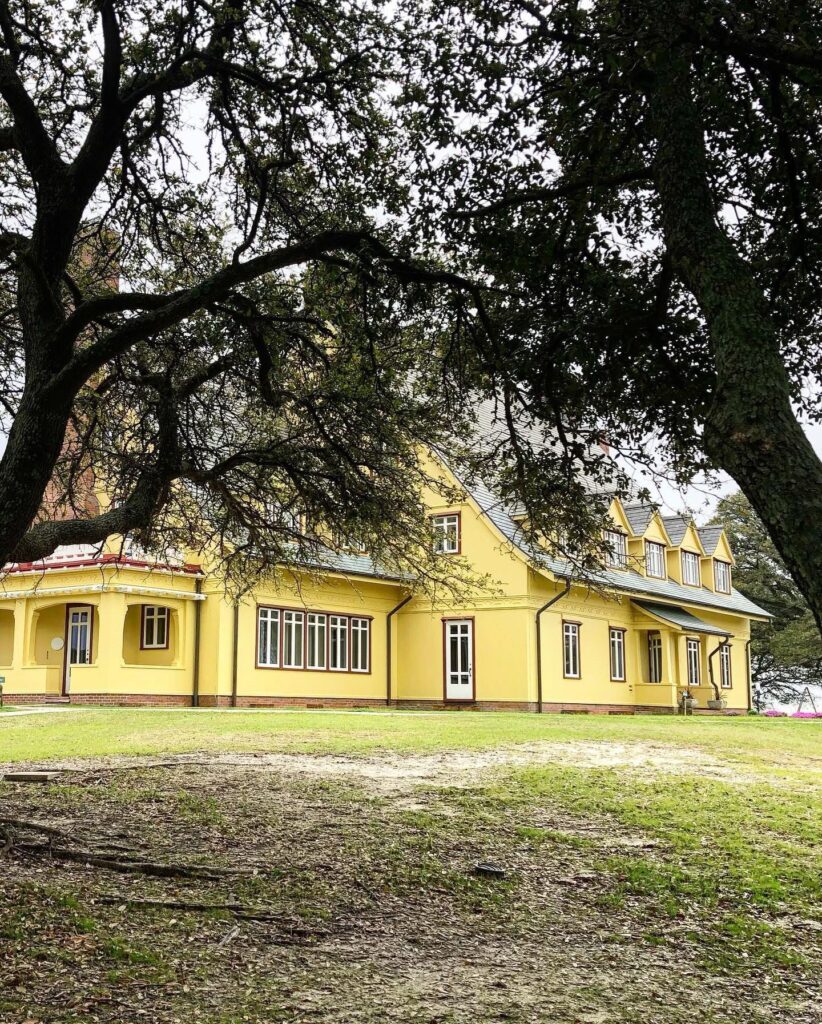 A large yellow house with multiple windows and a gray roof is partially shaded by tall, leafy trees. The ground is a mix of grass and bare patches, and the sky appears overcast.