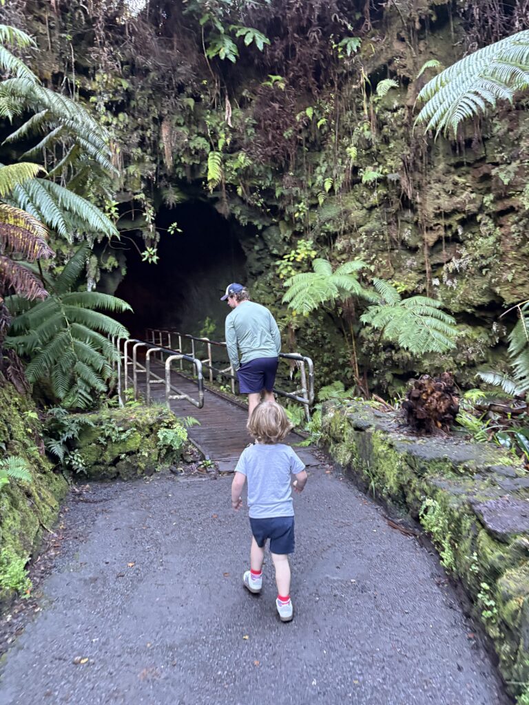 A child and an adult walk toward the entrance of a cave surrounded by lush green plants and ferns, following a paved path with metal railings.