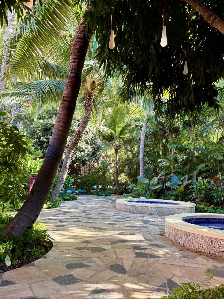 A stone pathway winds through lush tropical plants and palm trees, with two round, empty pools along the side. Sunlight filters through the dense greenery, creating a serene garden atmosphere.