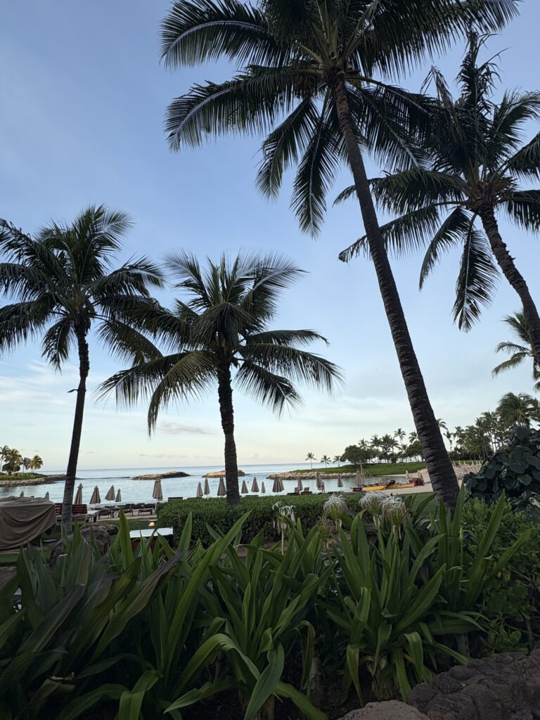 Tall palm trees frame a tropical scene with lush green plants in the foreground, lounge chairs, and umbrellas by the water’s edge, and a calm ocean under a blue sky in the background.