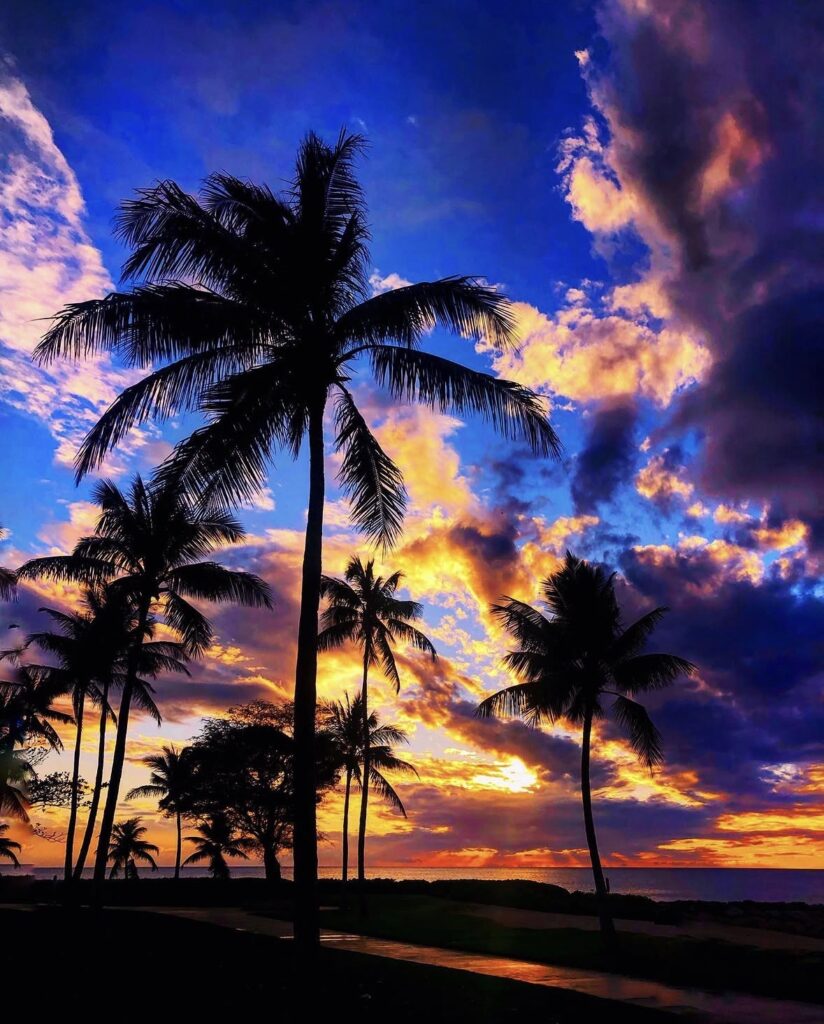 Silhouettes of palm trees stand against a vibrant sunset sky, filled with dramatic clouds in shades of orange, yellow, blue, and purple, creating a tropical and serene beach scene.
