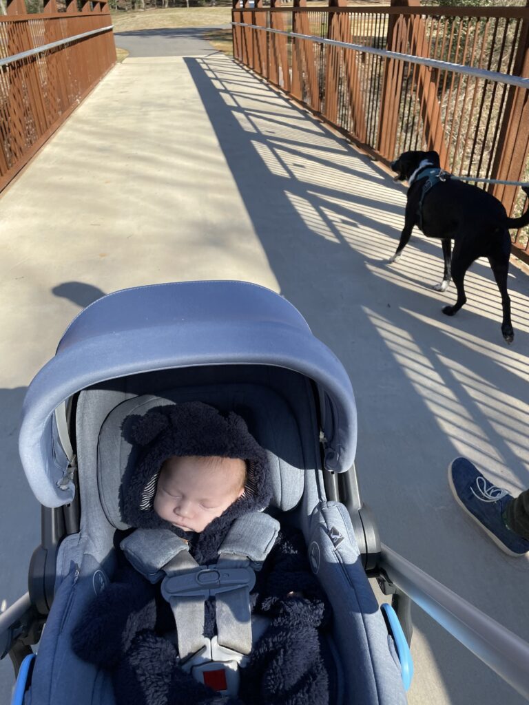 A baby sleeps in a blue car seat stroller on a sunny bridge, while a black dog on a leash walks ahead. Shadows from the bridge railings create patterns on the concrete.