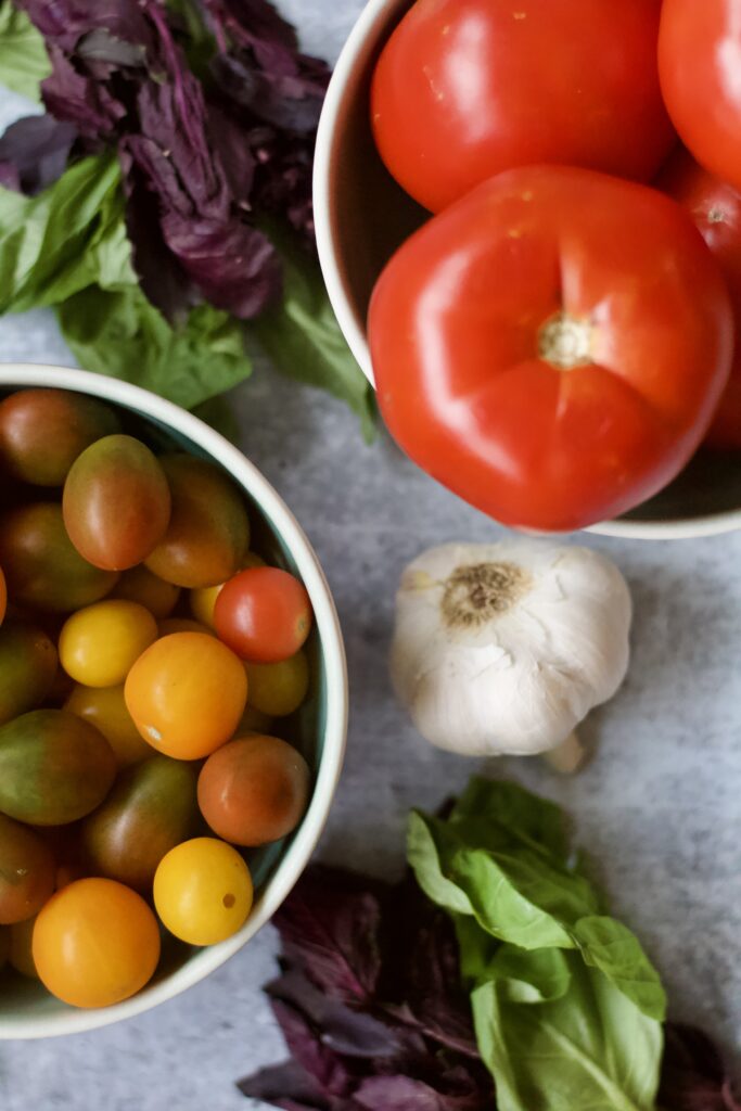 Bowls of fresh tomatoes and cherry tomatoes sit on a gray surface, surrounded by leafy basil, purple basil, and a whole garlic bulb.
