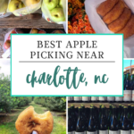 Collage with apples in bags, donuts, apple cider bottles, and a person holding a bitten donut. Text reads: Best Apple Picking Near Charlotte, NC—a delicious look at the top spots for apple picking near Charlotte. Logo at the bottom says, off the eaten path.