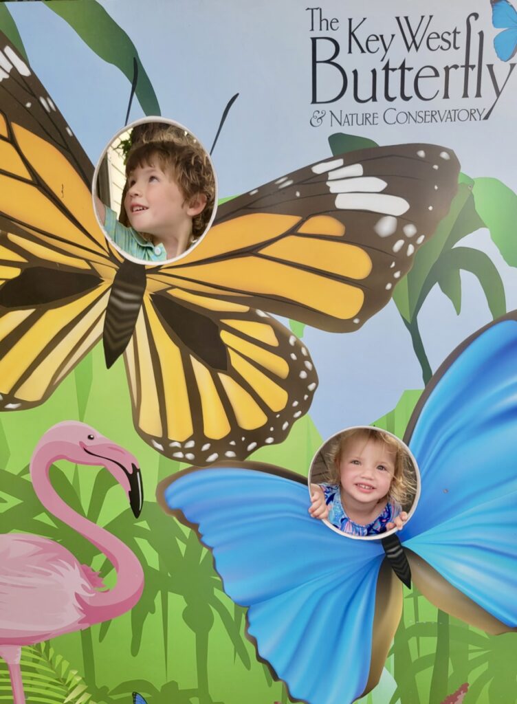 Two children smile through cutouts in a butterfly-themed photo board at The Key West Butterfly & Nature Conservatory. One child is inside a yellow butterfly, the other in a blue butterfly, with a pink flamingo nearby.