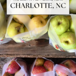 Bags of red and green apples sit on a wooden surface. Text overlay reads, The best apple picking near Charlotte, NC. A logo at the bottom says, off the eaten path. Discover delicious local fruit and plan your next adventure with this guide to apple picking near Charlotte.