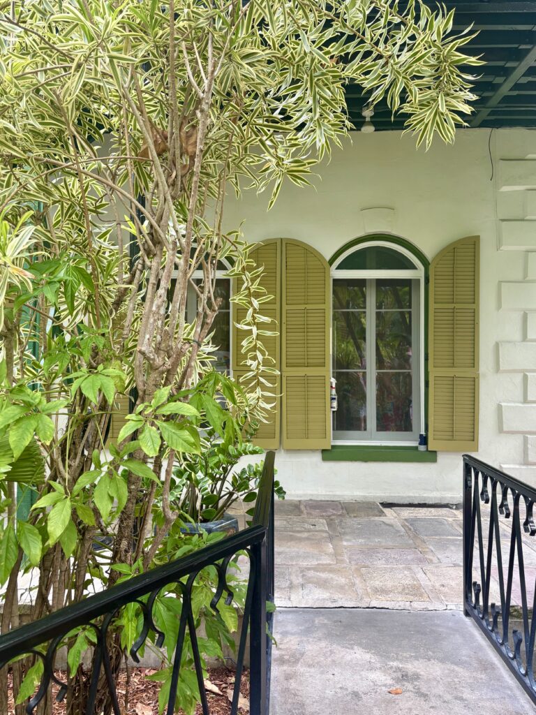 A green and white house with arched windows and open olive shutters, partly hidden by leafy plants, with a black metal railing along a stone path in front.