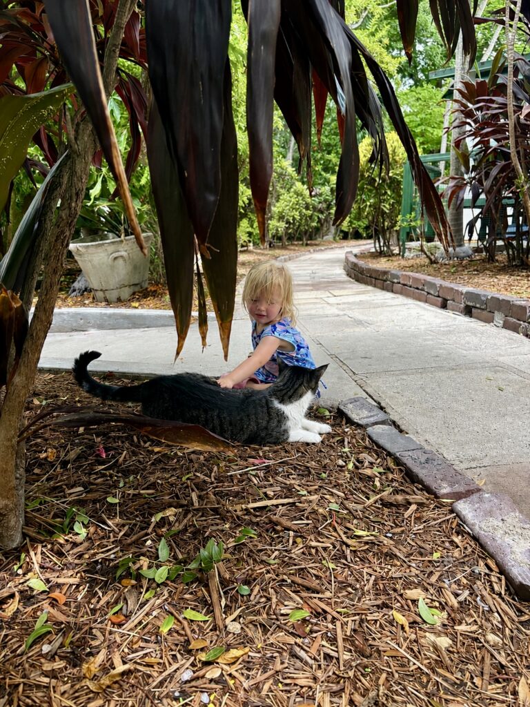 A young child in a blue dress sits on mulch under tropical plants, petting a gray and white cat. A curved sidewalk and lush greenery are visible in the background.